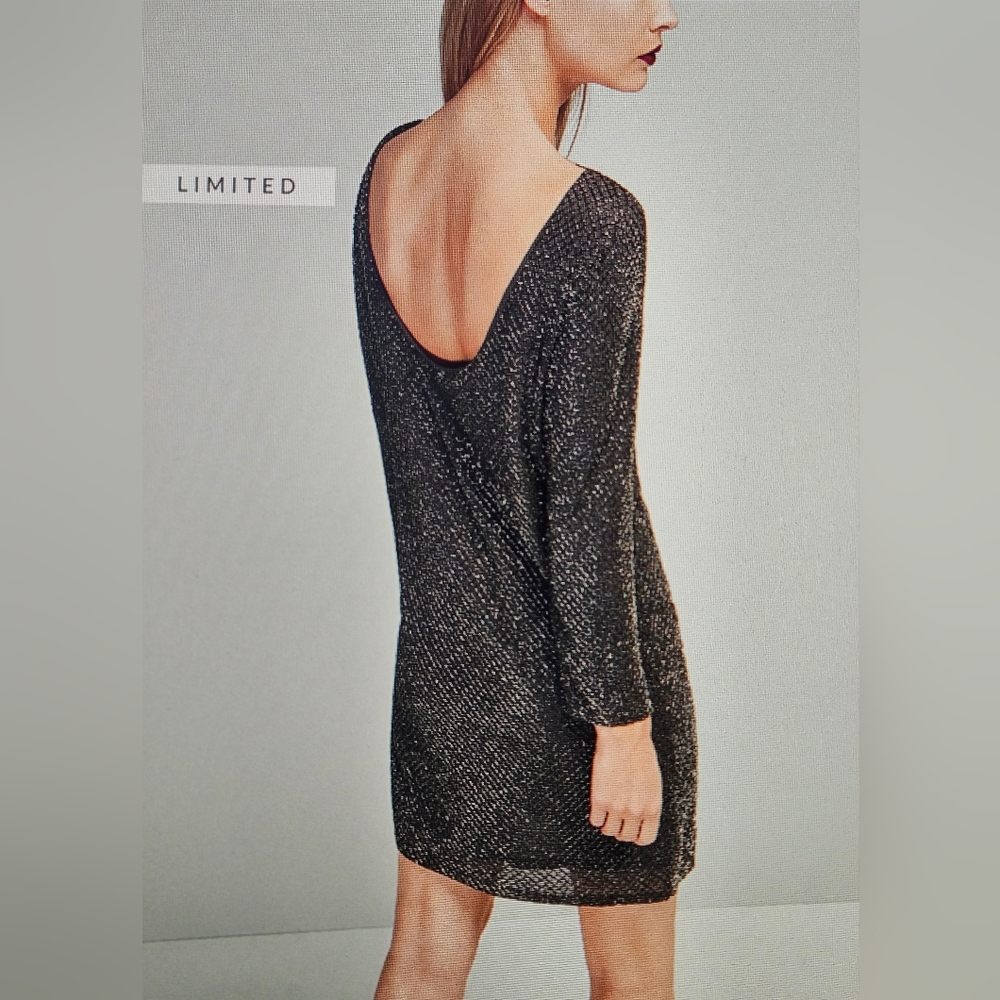 Massimo Dutti Zara Beaded Holiday Party Dress Size 4 Grey